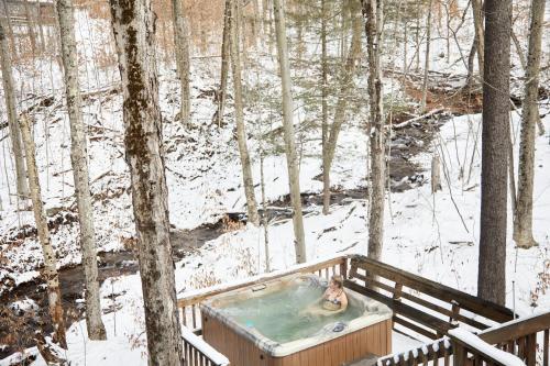 a dog in a hot tub in the woods at Rippling Waters close to Timberline ski slopes in Cortland