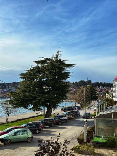 Peisaj natural din apropierea acestui apartament