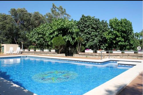 a large swimming pool with blue water at Masia Can Tibau in Llagostera