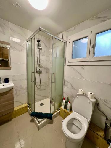 une salle de bain avec toilettes et douche en verre dans l'établissement Gagny charmant deux pièces très calme, à Gagny