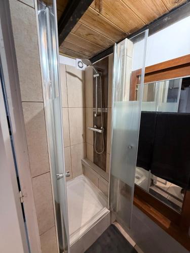 une douche avec une porte vitrée dans une salle de bain dans l'établissement Apartment duplex 5min Croisette, à Cannes