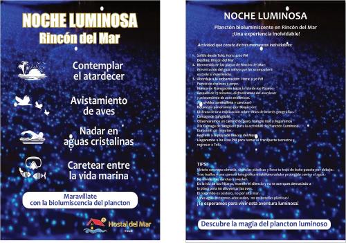 a flyer for a concert called norogie lunguska nitrogen ideal war at Hostal del Mar - Tolu in Tolú