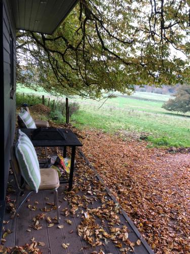 a table and chairs on a deck with leaves on the ground at Farm woodland riverview cabin bbq firepit pet friendly in Hertford