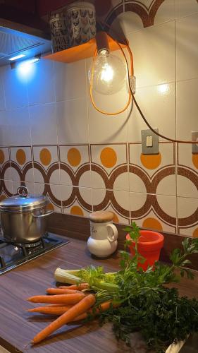 a bunch of carrots sitting on a kitchen counter at Casa Mariuccia in Anzio