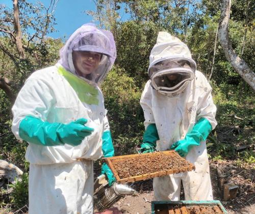 Επισκέπτες που μένουν στο Guayabo Animal Rescue & Sanctuary