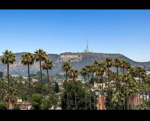 a view of a city with palm trees and a hollywood sign at 2-Bedroom Hollywood Apartment in Los Angeles