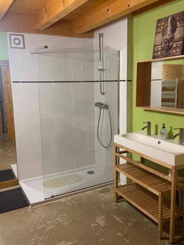 une salle de bain avec douche et lavabo dans l'établissement LE GîTE DES DAINES, à Lavans-lès-Saint-Claude