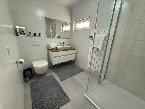 a bathroom with a shower and a toilet and a sink at Casa Clara - Exklusive Ferienwohnung in Hennweiler