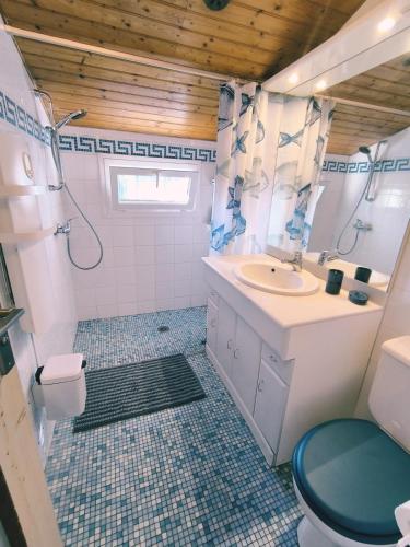 une salle de bain avec un lavabo et des toilettes dans l'établissement Maison souvenir, à Andernos-les-Bains