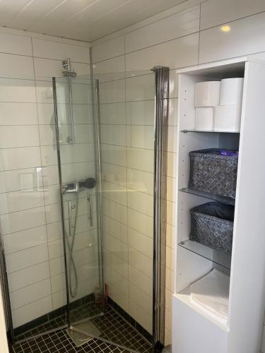 a bathroom with a shower and a glass shower at Practical and cozy cottage in idyllic Senja 3 bedrooms in Senja