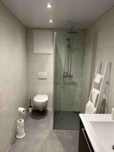 Bilik mandi di Gorgeous apartment in Geilo