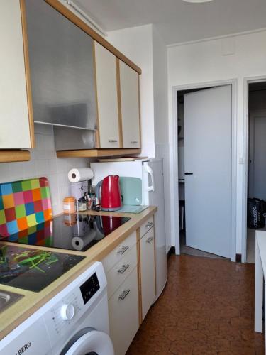 une cuisine avec un évier et une machine à laver dans l'établissement appartement lumineux, à Tours