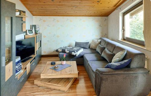 Μια τηλεόραση ή/και κέντρο ψυχαγωγίας στο Holiday Home Waldgrundstück P