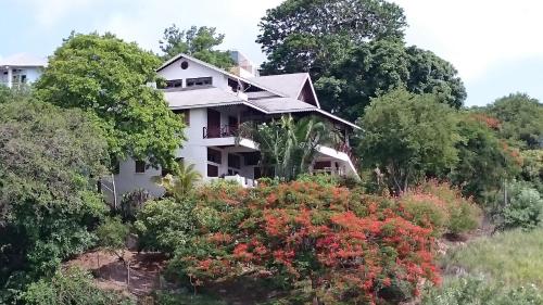 Zahrada ubytování The Nest Tobago Apartments