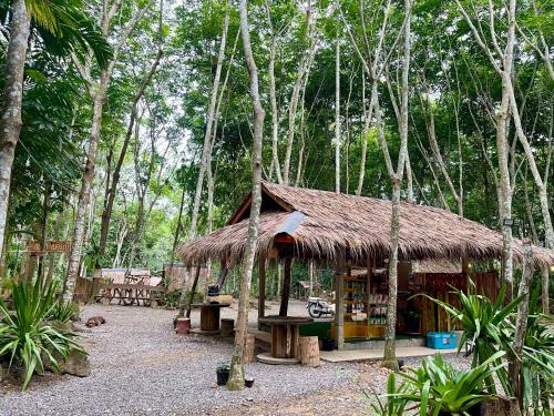 Zahrada ubytování Khao Phang Camping