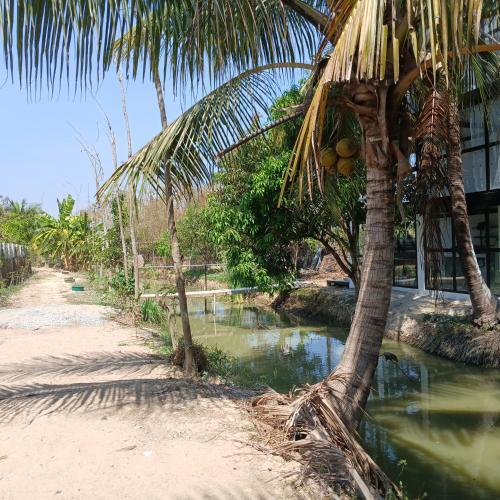 Landskap semula jadi dekat dengan rumah tamu ini