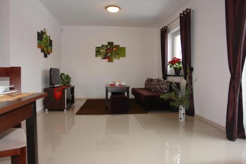 a living room with a couch and a tv at JD Apartamenty - Klimatyzacja, basen, parking i wifi w cenie in Mysłakowice