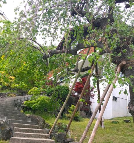 a tree leaning over a set of stairs in front of a house at プライベート天然温泉 - 広々清潔 - 素敵な非日常! Private Hot Spring - Spotless Modern Japanese in Ito
