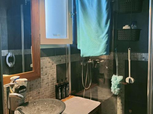 une salle de bain avec un lavabo et une douche dans l'établissement T2 Cabine climatisé avec WiFi au Barcarès - FR-1-195-114, au Barcarès