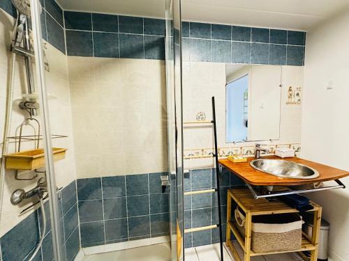 Vannituba majutusasutuses Maison calme à Fouras pour 4 personnes avec jardin - FR-1-709-92