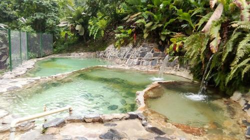 a pool of green water with a waterfall at KOKOA GARDEN INN in San Vicente de Chucurí