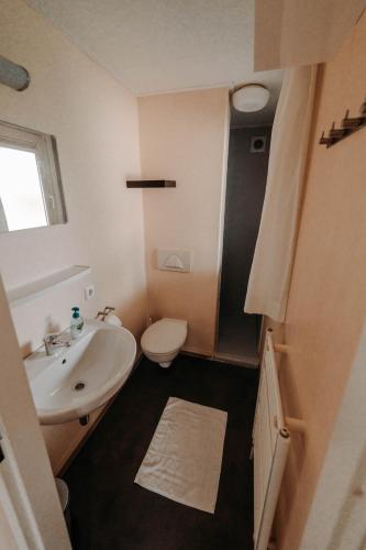 a small bathroom with a sink and a toilet at Chalet Tulpenweide - recreatie in Breezand