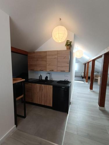 a kitchen with a sink and a counter at Włostowicka Ostoja Apartament in Puławy