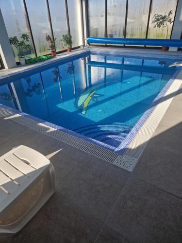 a swimming pool with a toilet in a building at Cabanuțele din Lemn in Chişcău