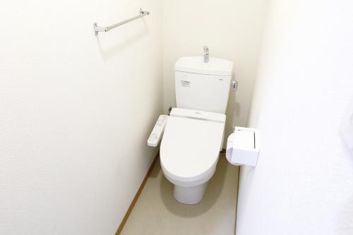 a bathroom with a white toilet in a stall at ウエストワン サウス 305 in Hitoyoshi