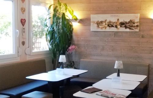 Deux tables dans un restaurant avec une plante sur le mur dans l'établissement Hôtel d'Alsace, à Wissembourg