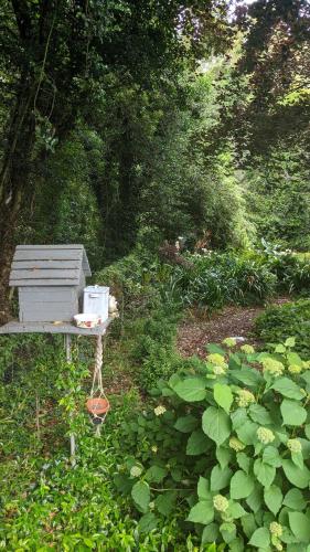 a bird house sitting on a table in a garden at Cherrywood-luxe retreat in the Southern Highlands in Exeter