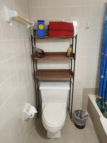 a bathroom with a toilet with three shelves above it at Casa mexicana in San Felipe