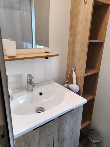 une salle de bain avec un lavabo et un miroir dans l'établissement Jolie Mobil Home climatisé 58, à Saint-Jean-de-Monts