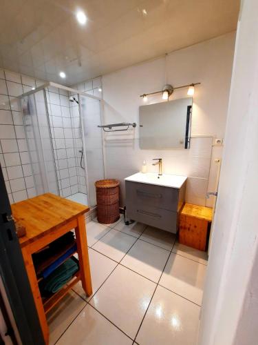 une salle de bain avec un lavabo, une douche et un miroir dans l'établissement Le Belvédère spacieux lumineux avec 2 chambres, à Montbéliard