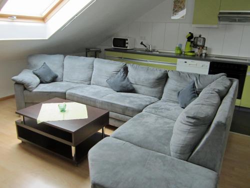 - un salon avec un canapé gris et une table dans l'établissement Ferienwohnungen Krauss, à Ringsheim