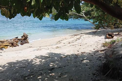 a sandy beach with the ocean in the background at The Pulisan in Likupang
