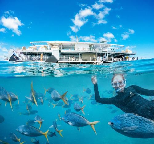 a woman underwater in the ocean with a cruise ship at Beachfront Hamilton Island in Hamilton Island