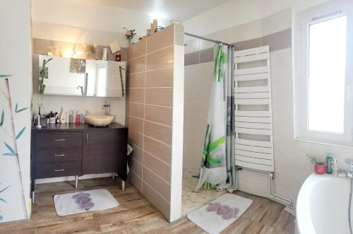 une salle de bain avec un lavabo et une douche dans l'établissement Sweet Home, à Aimargues