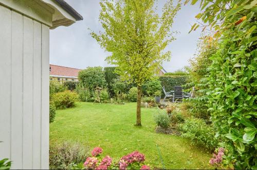 a garden with a tree in the middle of a yard at Beleef Noordwijk strandhuisje in Noordwijk aan Zee