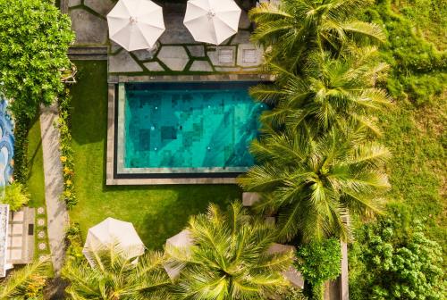 an overhead view of a swimming pool with palm trees at Wide Sands Beach Retreat in Pulukan