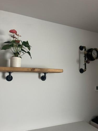 a shelf with a potted plant on a wall at Self contained annexe in the heart of Wedmore in Wedmore