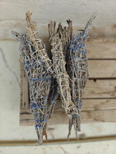a bunch of sticks hanging on a wall at בקתה וטבילה במדבר in H̱aẕeva
