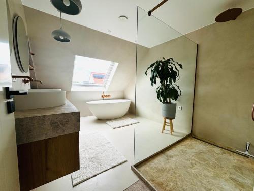a bathroom with a toilet and a potted plant at Feelathome De Kust in Middelkerke