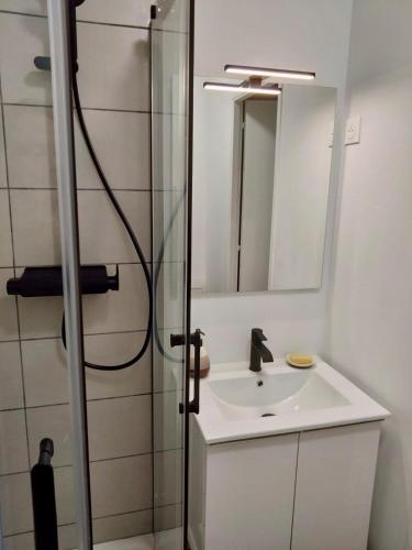 une salle de bain avec un lavabo et une douche avec un miroir dans l'établissement TERRAVITA - Bel Appartement - Calais Centre, à Calais