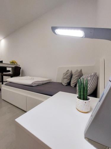STUDIO APARTMAN AP1 19m2, prizemlje - free parking