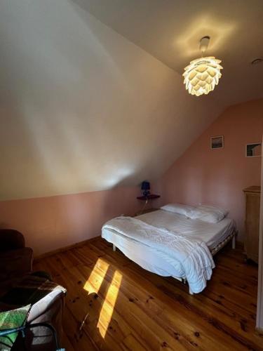 ein Schlafzimmer mit einem Bett und einem Kronleuchter in der Unterkunft Villa Pomme de Pin in Quend-Plage