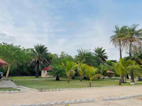 a row of palm trees on a sandy beach at Wunderland in Lamin
