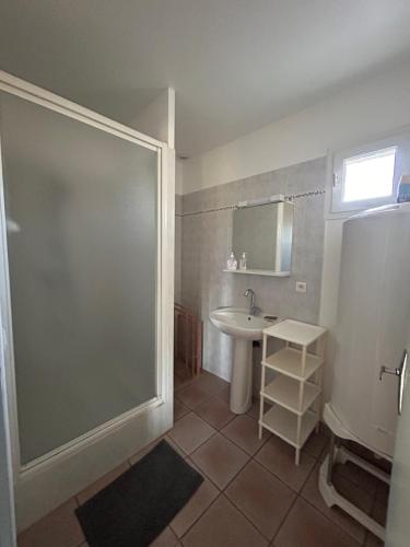 une salle de bain avec une douche, un lavabo et un miroir dans l'établissement Gites les oliviers, à Montagnac