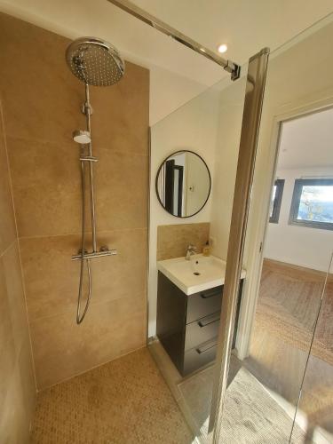 une salle de bain avec une douche, un lavabo et un miroir dans l'établissement Villa Horizon, à Grasse