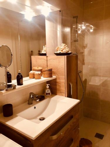 une salle de bain avec un lavabo et une douche dans l'établissement T2 55 m2 avec terrasse 25 m2, à La Ciotat
